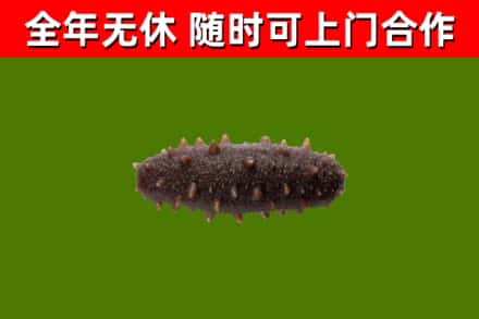 鼓楼区烟酒回收干海参.jpg